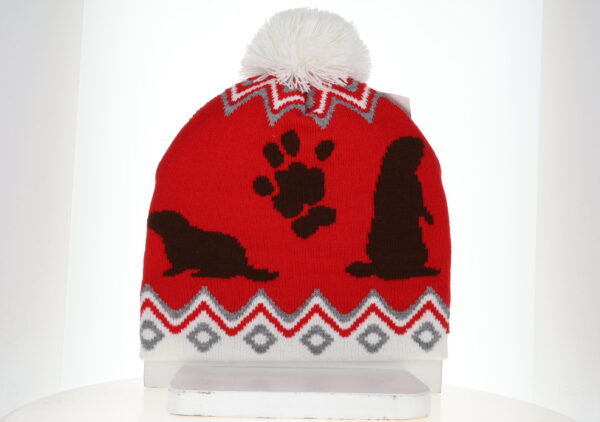 Groundhog Knit Beanie with Pom